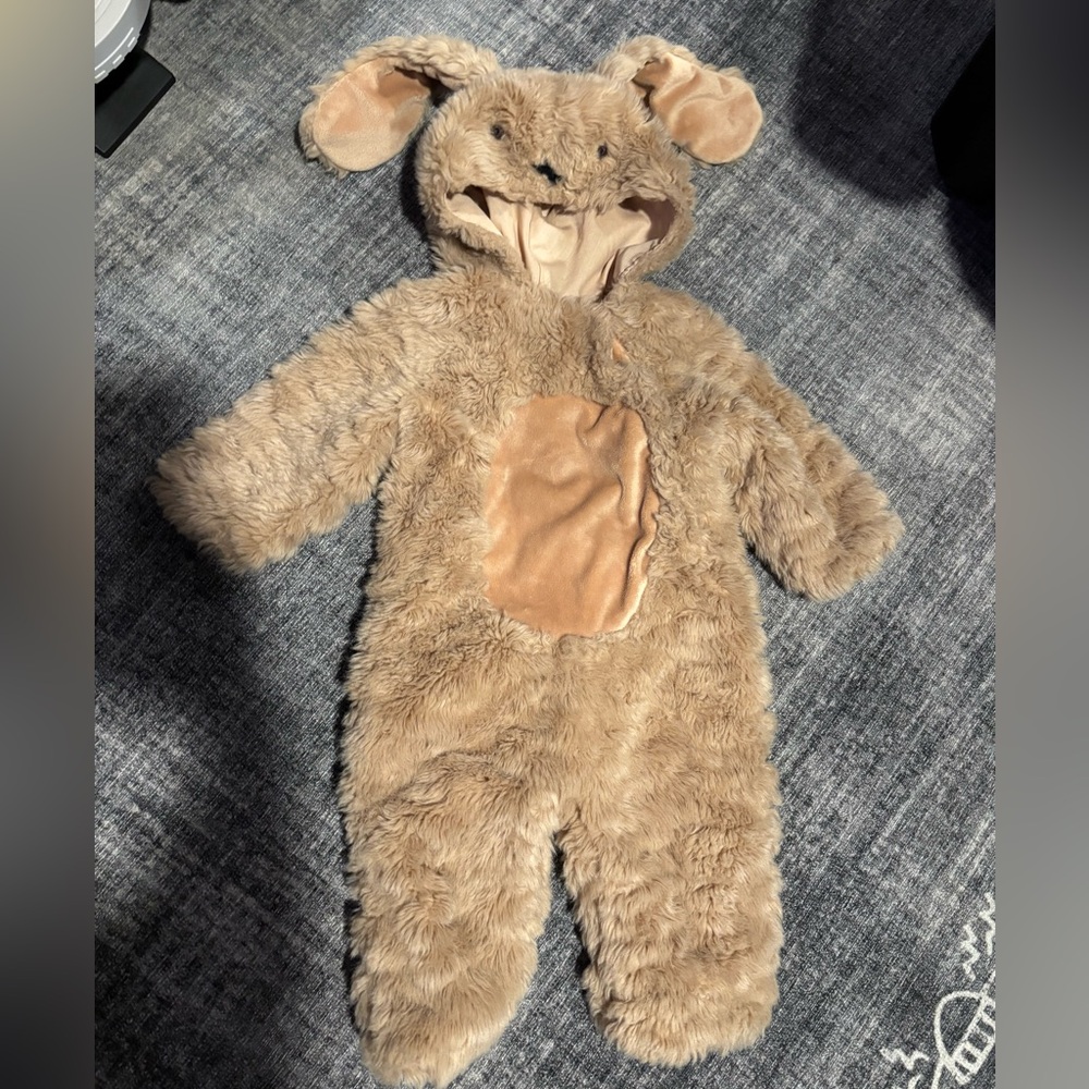Pottery Barn Kids Puppy Costume